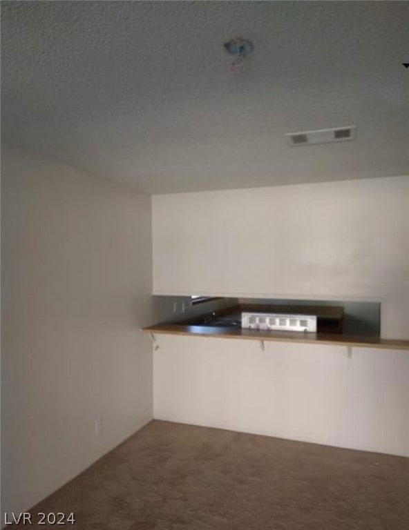 kitchen with a textured ceiling and carpet floors