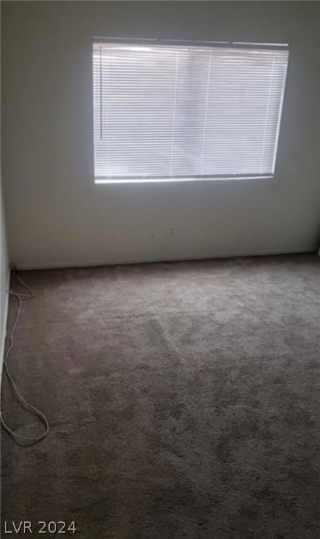 unfurnished room with carpet floors