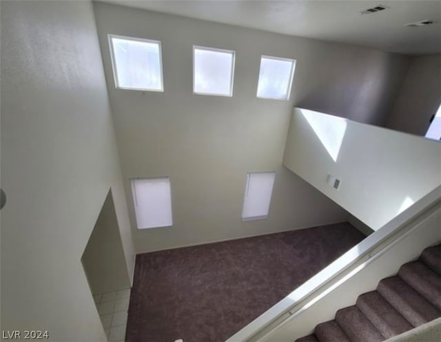 stairway with carpet flooring