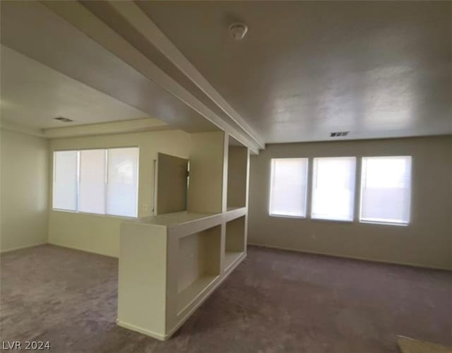 carpeted empty room featuring a healthy amount of sunlight