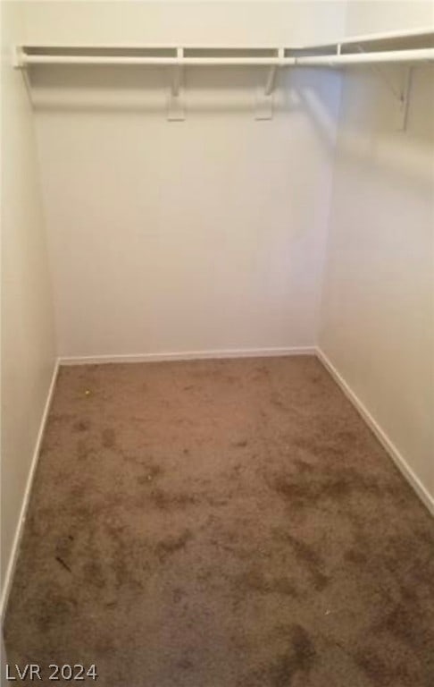 spacious closet featuring carpet