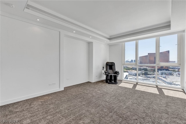 interior space with a tray ceiling and carpet floors