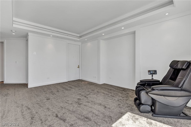 interior space featuring a tray ceiling and carpet floors