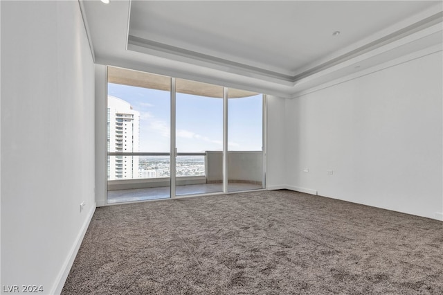 spare room featuring a water view, a raised ceiling, and carpet flooring