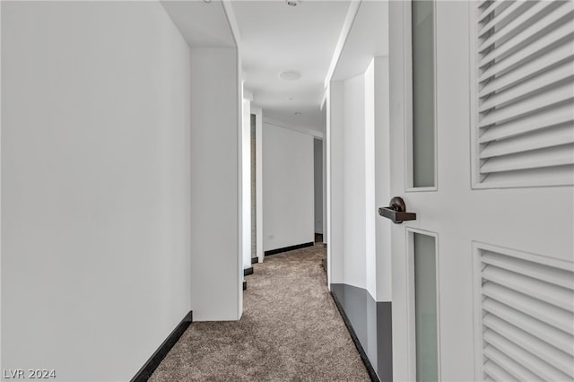 hallway with carpet