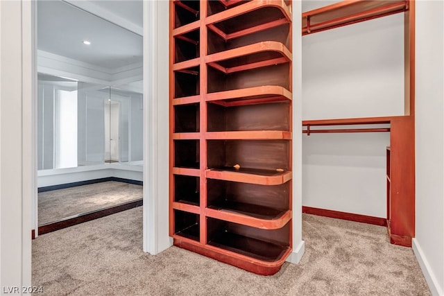 walk in closet featuring light carpet