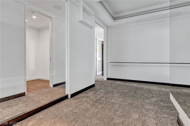 unfurnished bedroom with carpet