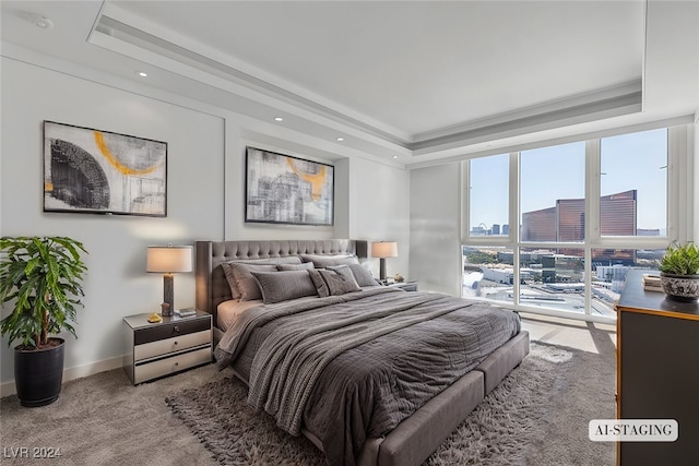 carpeted bedroom featuring a raised ceiling