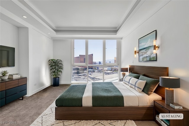 carpeted bedroom featuring a raised ceiling