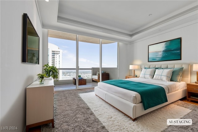 bedroom featuring a raised ceiling