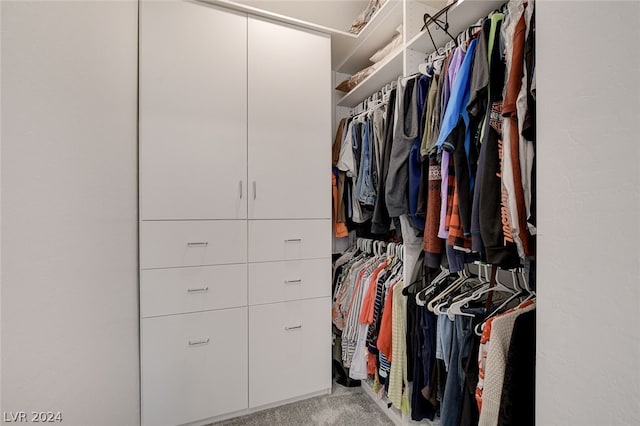 walk in closet with carpet flooring