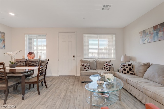 living room featuring a healthy amount of sunlight and light wood-type flooring