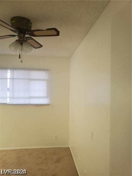 spare room with ceiling fan and carpet flooring