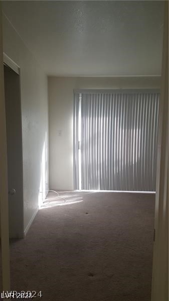 spare room with carpet