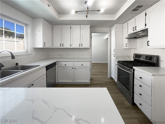 kitchen featuring exhaust hood, dark wood-type flooring, a raised ceiling, and range