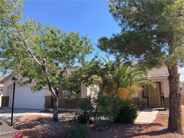 view of property hidden behind natural elements with a garage