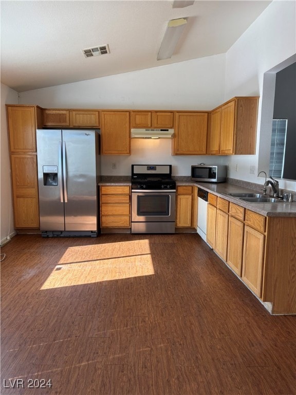 kitchen with sink, stainless steel appliances, lofted ceiling, and dark hardwood / wood-style flooring