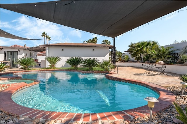 view of pool featuring a patio area