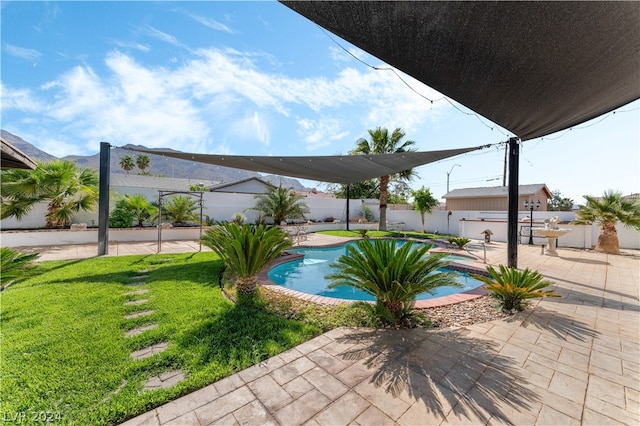 view of pool with a patio area and a yard