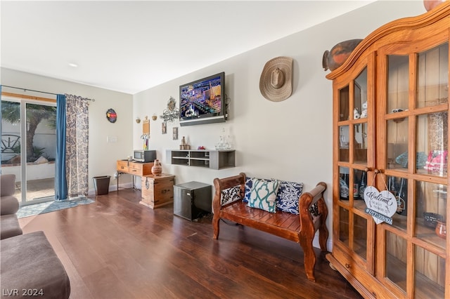 living room featuring dark wood-type flooring