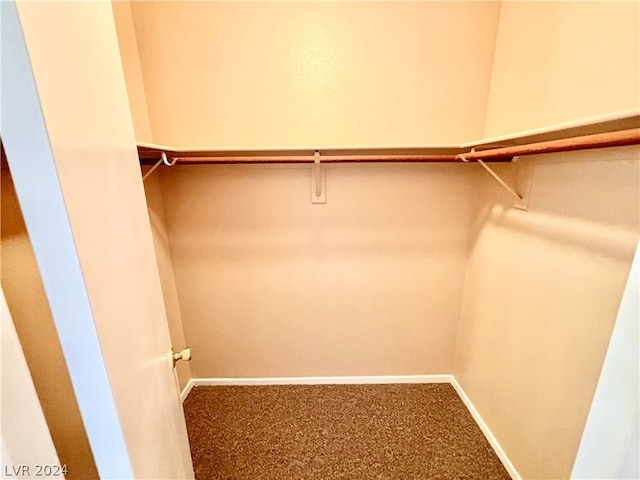 walk in closet with carpet flooring