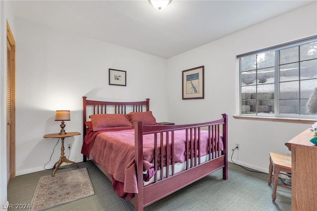 carpeted bedroom with a closet