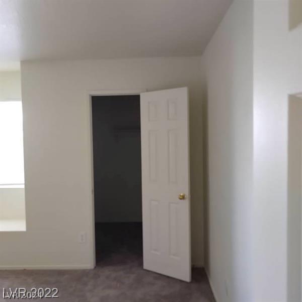 interior space featuring a spacious closet, dark colored carpet, and a closet