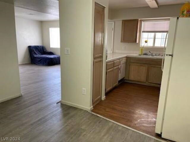 kitchen with sink, dark hardwood / wood-style flooring, and white refrigerator