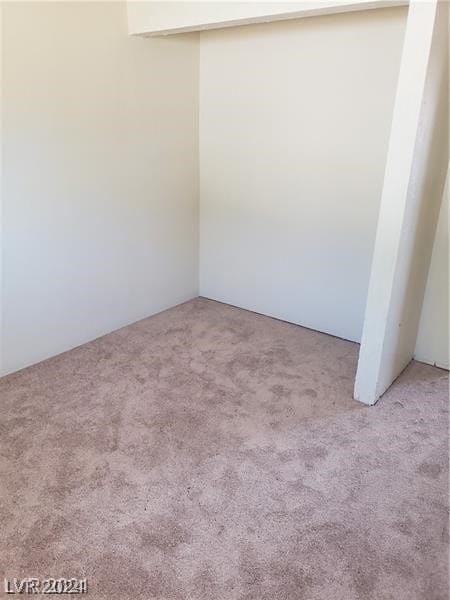 spare room with light carpet