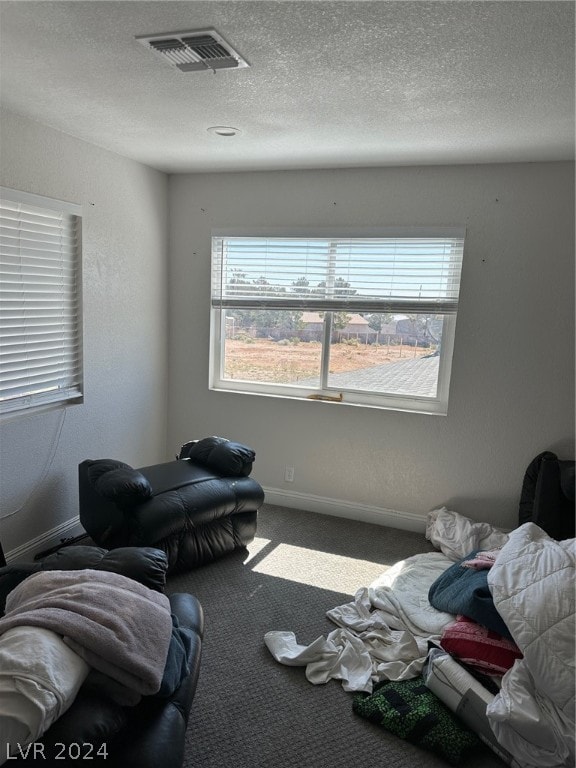 interior space featuring dark carpet and a textured ceiling