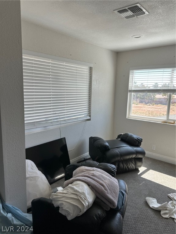 living area featuring carpet flooring and a textured ceiling