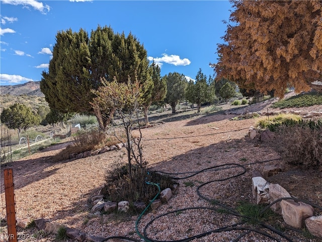 view of yard featuring a mountain view