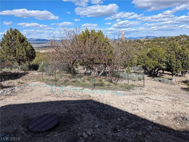 188 Blue Spruce St, Pioche, NV 89043 - photo 48