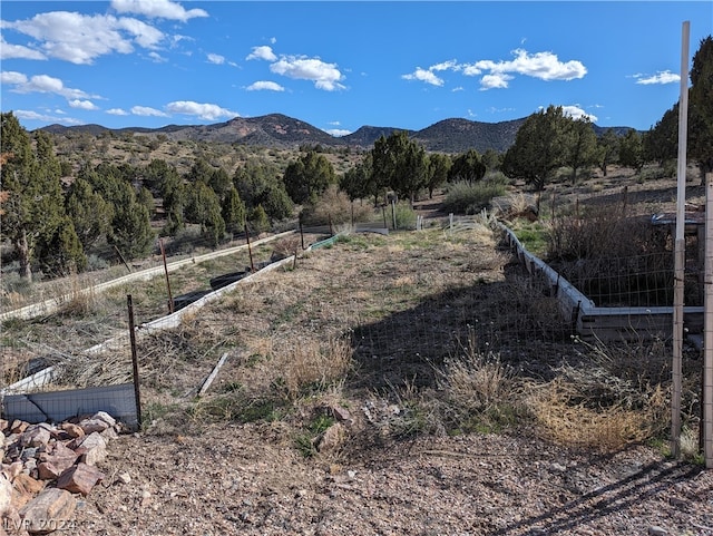 mountain view featuring a rural view