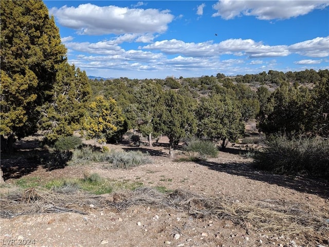 188 Blue Spruce St, Pioche, NV 89043 - photo 50