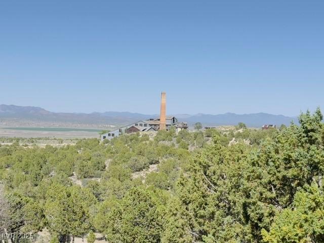 188 Blue Spruce St, Pioche, NV 89043 - photo 10