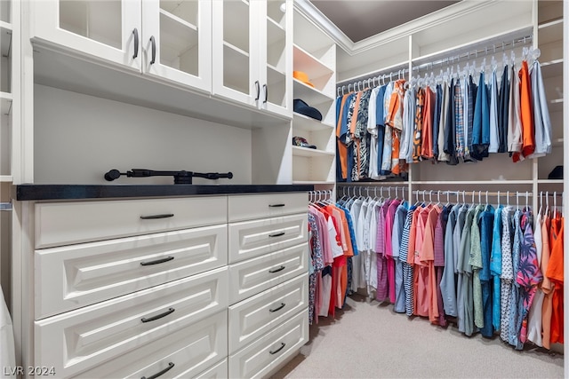 spacious closet featuring light colored carpet