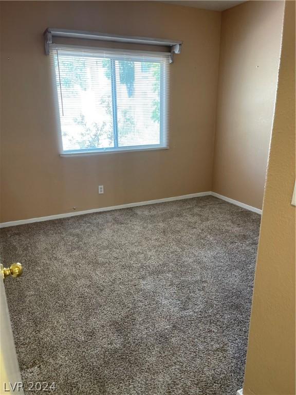 spare room with a healthy amount of sunlight and carpet flooring