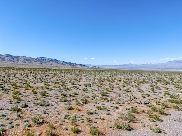 Scottie, Las Vegas, NV 89166 - photo 11