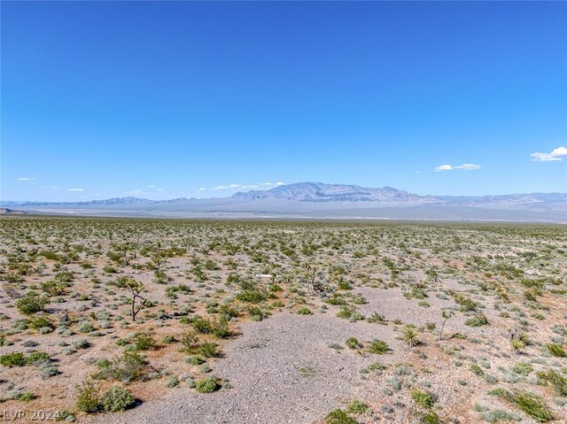 Scottie, Las Vegas, NV 89166 - photo 12