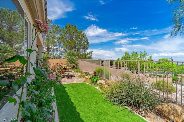 view of yard with a patio area and a fenced backyard