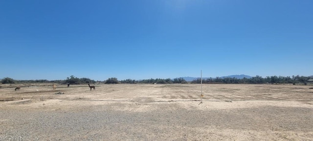 view of yard with a rural view