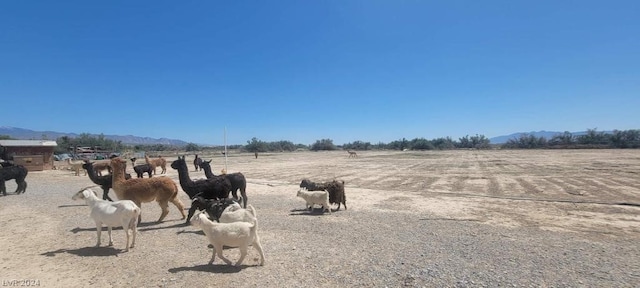 view of yard featuring a mountain view and a rural view