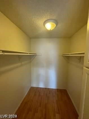 spacious closet with hardwood / wood-style flooring