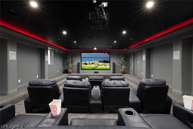 view of carpeted home theater