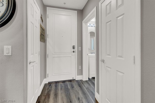 interior space featuring dark hardwood / wood-style floors and sink