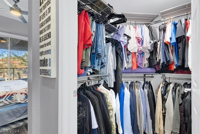 view of walk in closet