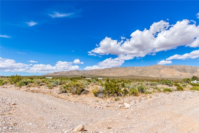 375 E Pacific Ave, Goodsprings NV, 89019 land for sale