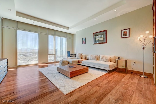 living room featuring a raised ceiling and light hardwood / wood-style flooring