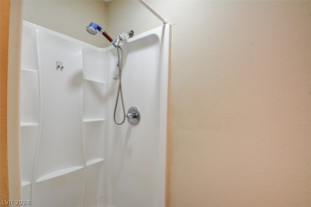 interior details with walk in shower